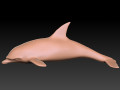 Dolphine 3D Model