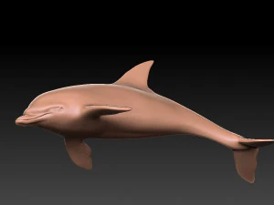 돌고래 3D 모델