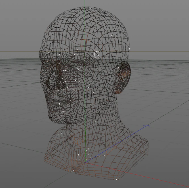 head 3D Model .c4d .max .obj .3ds .fbx .stl .blend
