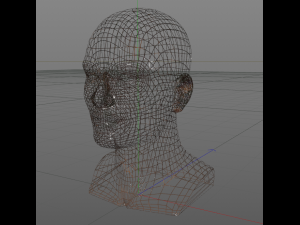head 3D मॉडल
