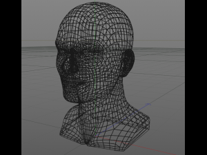 head 3D Модель