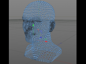 head 3D Модель