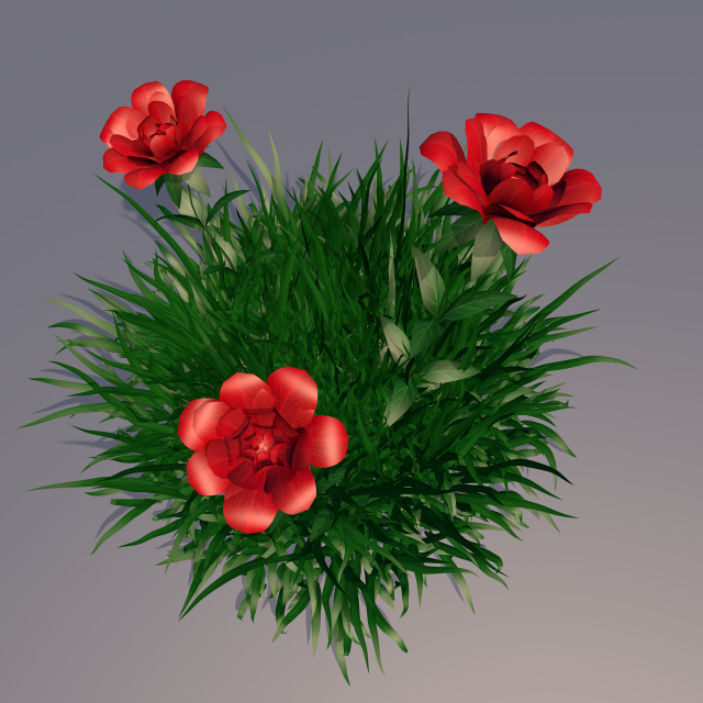 flowers roses red 3D Model .c4d .max .obj .3ds .fbx .stl .blend 