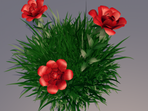 flowers roses red 3D मॉडल