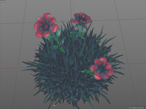 flowers roses red 3D Model