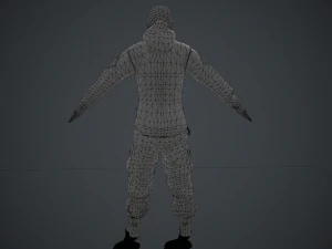 scout 3D Model