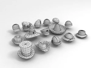 hat pack 3D Model