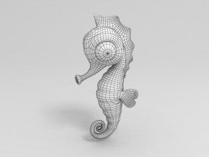 seahorse 3D 모델