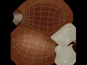 chicken leg 3D Model