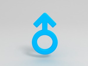 gender symbols 3D Model