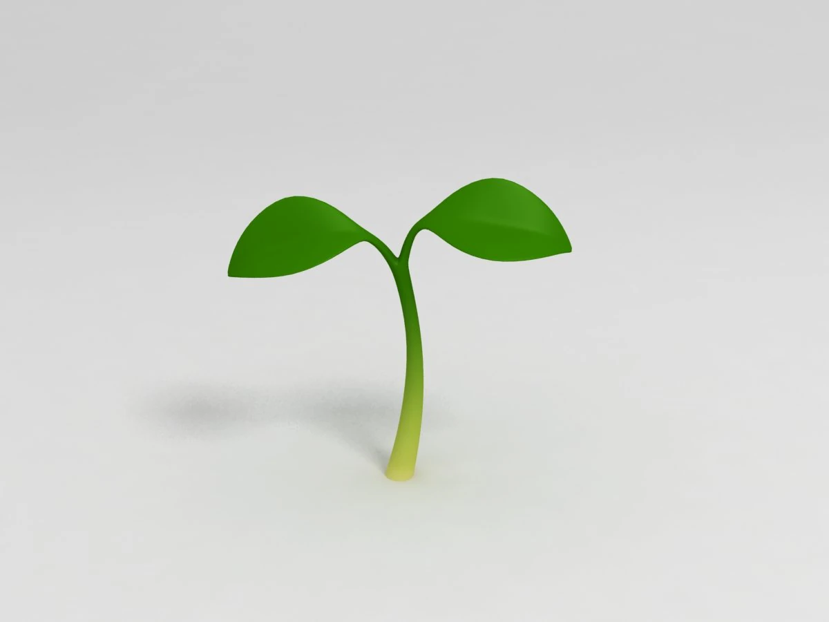 plant sprout 3D Model .c4d .max .obj .3ds .fbx .stl .blend 