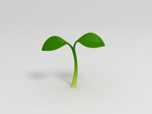 plant sprout 3Dモデル