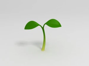 broto de planta Modelo 3D