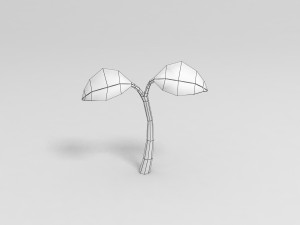 plant sprout 3Dモデル