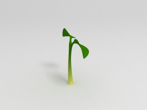 plant sprout 3Dモデル