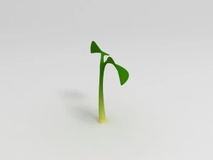 plant sprout 3D Model