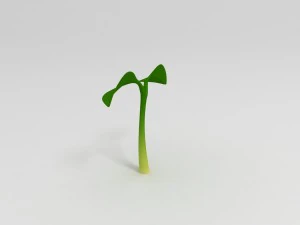 plant sprout 3D Model