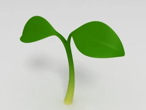 plant sprout 3D Model