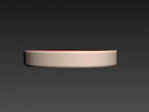 steak 3D Model
