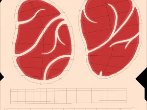 steak 3D Model