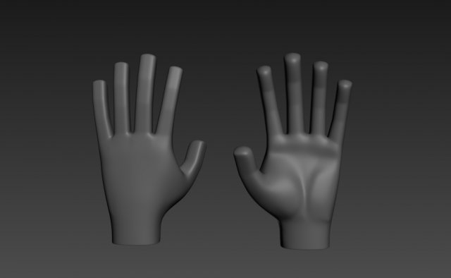 hand 3d 3D Model .c4d .max .obj .3ds .fbx .stl .blend 