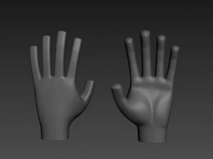 mano 3d Modello 3D