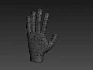 hand 3d 3D Model