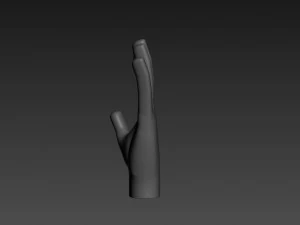 hand 3d 3D Model