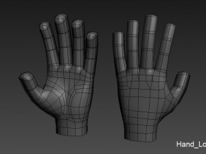 hand 3d 3D Model