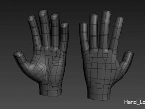 hand 3d 3D Model