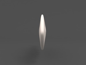 fish bone 3D Model