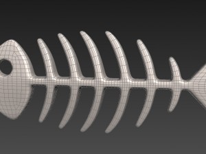 fish bone 3D Model