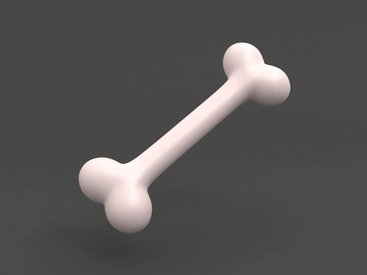 3d dog bone 3D Model .c4d .max .obj .3ds .fbx .stl .blend 