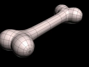 3d dog bone 3D Model