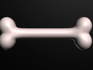 3d dog bone 3D Model