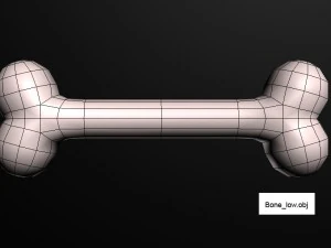 3d dog bone 3D Model