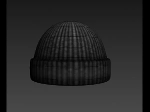 wool hat 3D Model