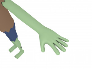cartoonman024 zombie 3D Model