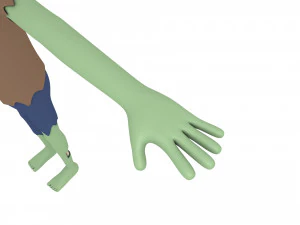 cartoonman024 zombie 3D Model