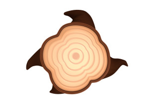tree stump 3D मॉडल