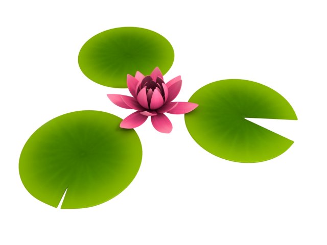 lotus 3D Model