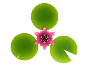 lotus 3Dモデル