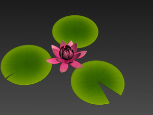 lotus 3Dモデル