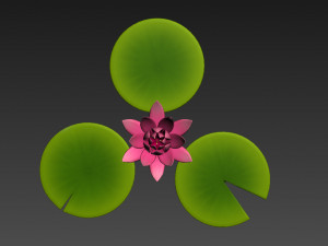 lotus 3Dモデル