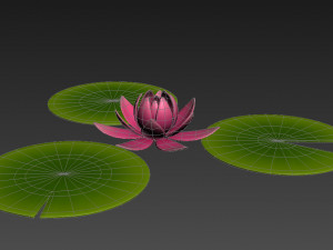 lotus 3Dモデル