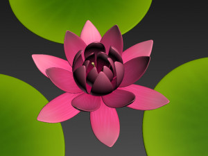 lotus 3Dモデル