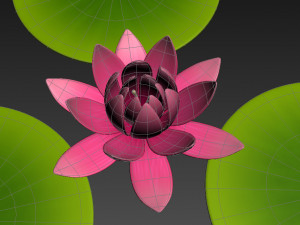 lotus 3Dモデル