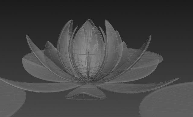 lotus 3D Model in Flowers 3DExport