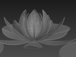 lotus 3Dモデル