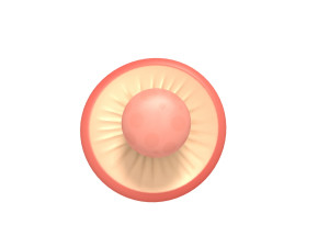 mushroom 3D Model